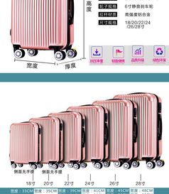 行李箱包萬向輪皮箱拉桿箱20寸登機(jī)旅行箱包鏡面 zl